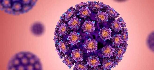 HPV - Humaan papillomavirus